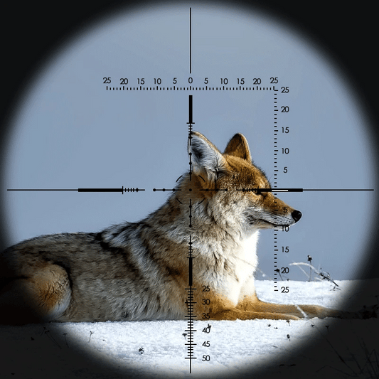 10-40X56 E Hunting Scopes Side Wheel Parallax Adjustment Optics Riflescope Red And Green Dot Sight For Scopes