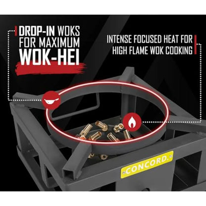 12 Single Propane Outdoor Burner with Built-in Wok Ring 45000 BTU Stainless Steel Black Ideal for Stir Frying Camping Side Burn