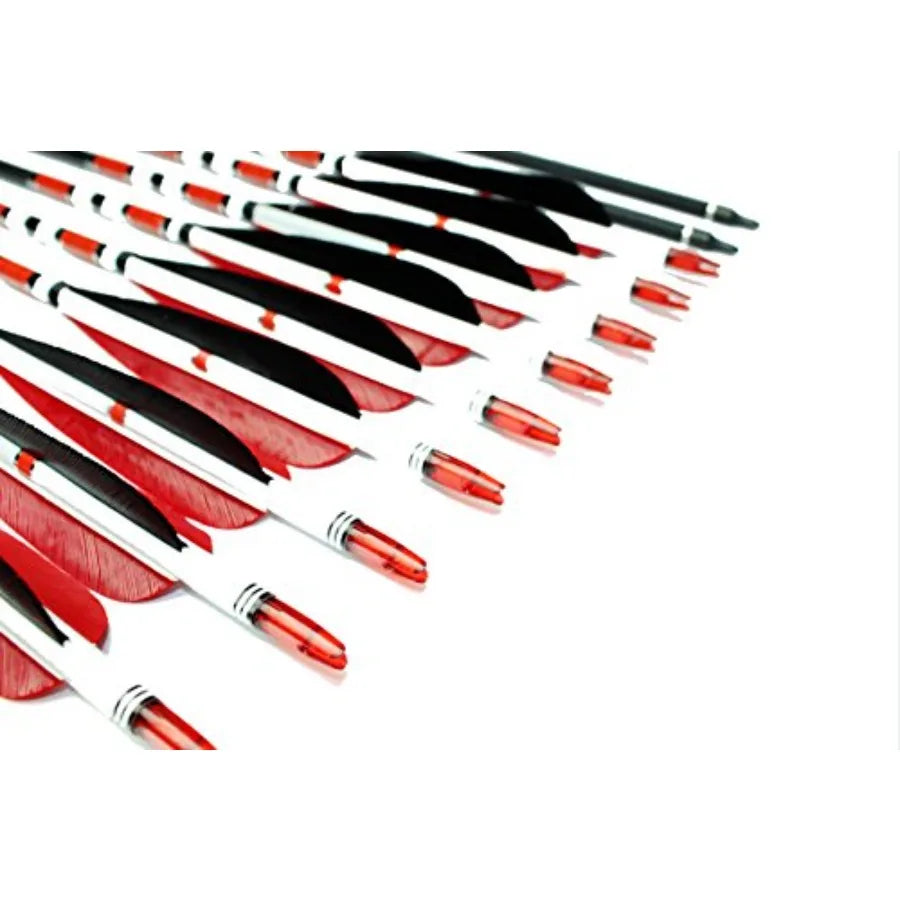 12PK 31Inch Carbon Arrows HuntingPractice Arrows with Turkey Feathers for Traditional Recurve and Compound Bows Black Durable H