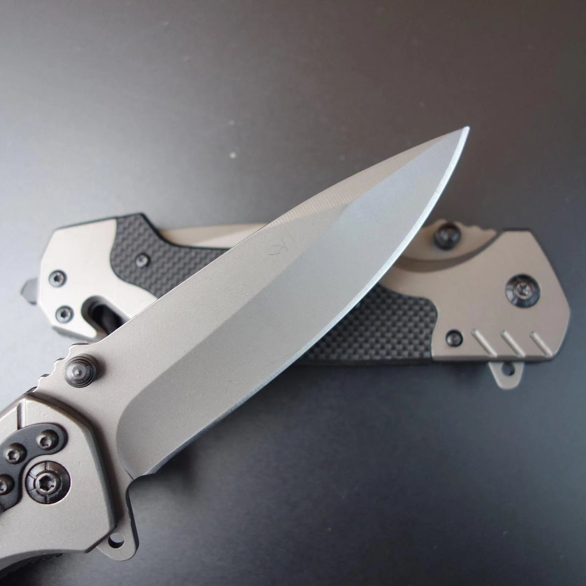 9" SPRING ASSISTED OPEN Hunting Folding POCKET KNIFE Camping Tactics EDC Knives