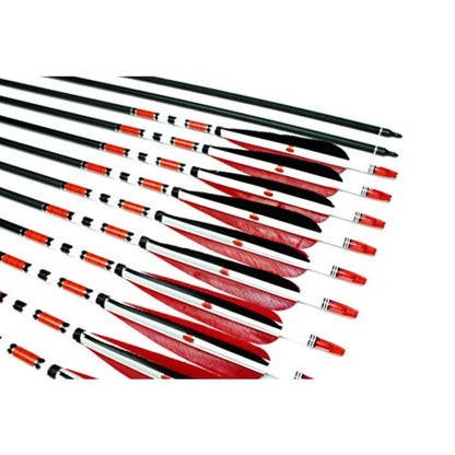 12PK 31Inch Carbon Arrows HuntingPractice Arrows with Turkey Feathers for Traditional Recurve and Compound Bows Black Durable H