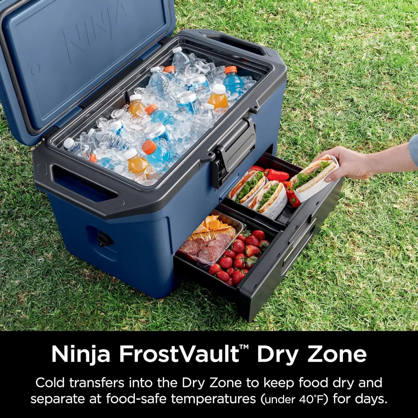 50qt Hard Cooler with Dry Zone, Fridge-Temp Drawer for Drinks & Food, Holds Ice for Days