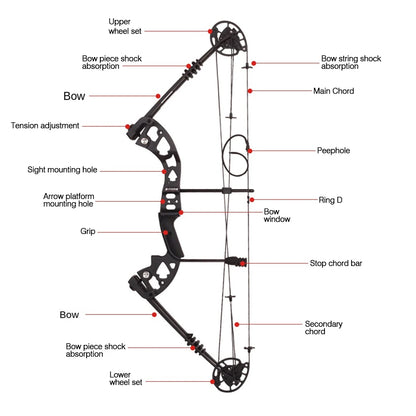 Battleship X Composite Pulley Bow and Arrow M125 Outdoor Archery Equipment 30-60lb Bow and Arrow Set