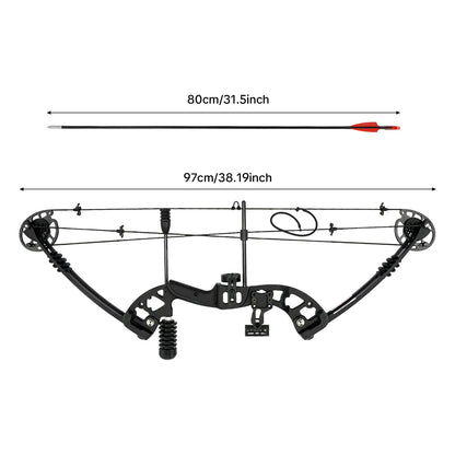 Compound Bow Arrow Set 30-55lb Adjustable Draw Length 24-29.5" for Adults Right Hand,3-Pin Sight Archery Hunting Bow w/12 Arrows