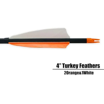 30" CarbonArrows Archery Target Practice Hunting Arrows with 4" Turkey Feather fletched Spine 500 Arrow for Traditional Bow(12)