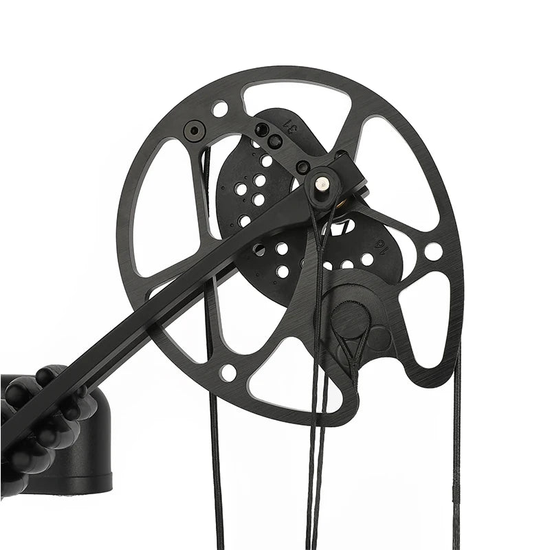 KAIMEI HAN 30-70lbs Compound Bow Carbon Arrows Set 320FPS With Release Sight for Archery Target Shooting Hunting Compound Bow