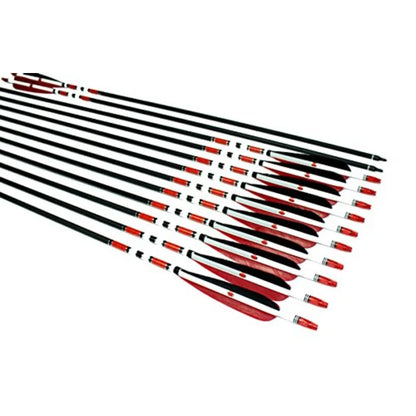 12PK 31Inch Carbon Arrows HuntingPractice Arrows with Turkey Feathers for Traditional Recurve and Compound Bows Black Durable H