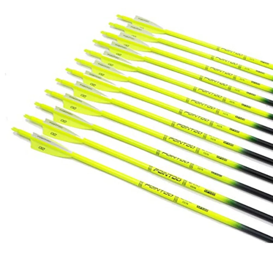30inch Carbon Arrow Fluorescence Color Targeting and Practice and Hunting Arrows for Compound Bow and Recurve Bow with Removabl