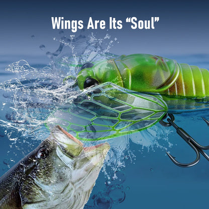 Kingdom 3Pcs Cicada Fishing Lure 2.4g 27mm Bionic Floating Artificial Hard Crankbait Bass Trout Pike Topwater Fishing