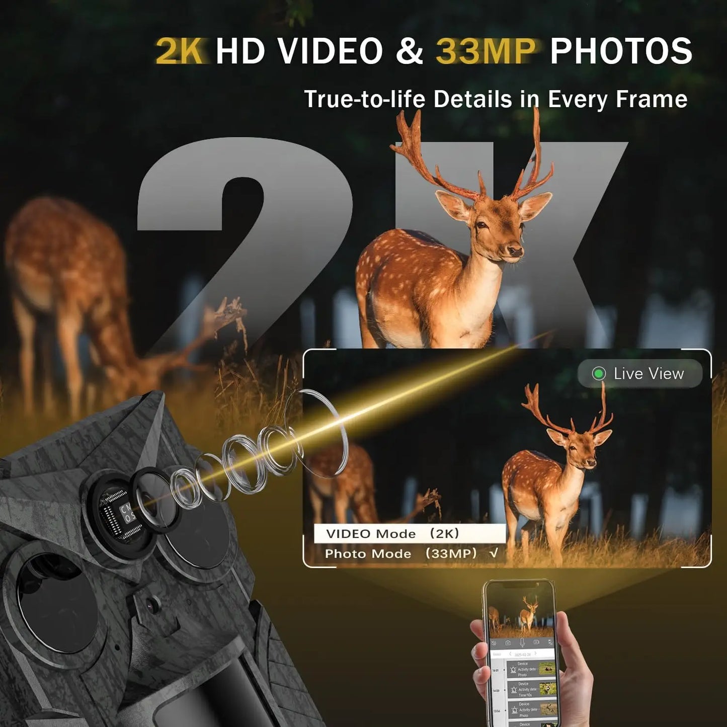 4G LTE Solar Trail Camera, 2K HD Live View, No-Glow Night Vision, 0.2s Trigger, 10000mAh Battery, IP66 for Hunting & Farm
